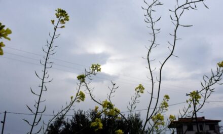 Καιρός: Συνεχίζεται η ζέστη και η σκόνη – Που θα βρέξει
