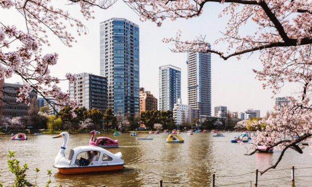 Αυτή είναι η πόλη με το περισσότερο πράσινο και τα περισσότερα πάρκα παγκοσμίως – Η θέση της Αθήνας