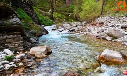 Χοντέικα, ένας από τους πιο κρυφούς οικισμούς της Ελλάδας (vid)