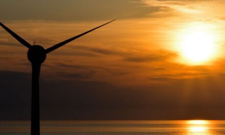 ΔΕΗ: Νέα αναβάθμιση της ΔΕΗ από τον διεθνή οργανισμό CDP για θέματα κλιματικής αλλαγής