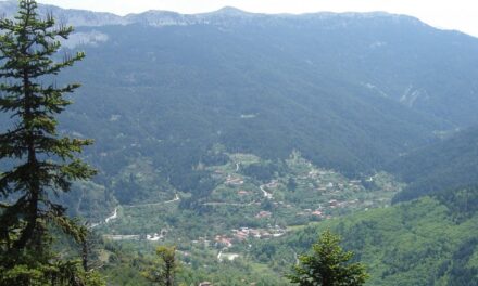 Ζαρούχλα: Μία έκπληξη στη σκιά του Χέλμου