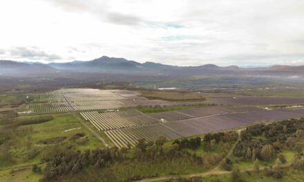 ΔΕΗ: Ξεκινά η δεύτερη φάση κατασκευής του φωτοβολταϊκού πάρκου 490MW στη Μεγαλόπολη