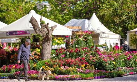 Λουλούδια και μαγιάτικο στεφάνι στην Ανθοκομική Έκθεση Κηφισιάς