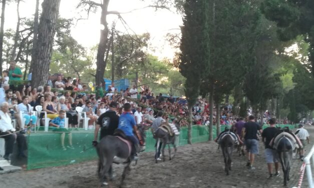 Τέσσερα νέα στοιχεία στο Εθνικό Ευρετήριο Άυλης Πολιτιστικής Κληρονομιάς της Ελλάδας