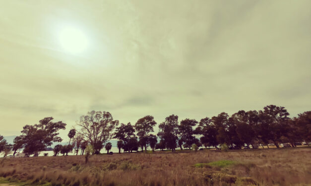 Άστατος ο καιρός σήμερα – Επιμένει η αφρικανική σκόνη