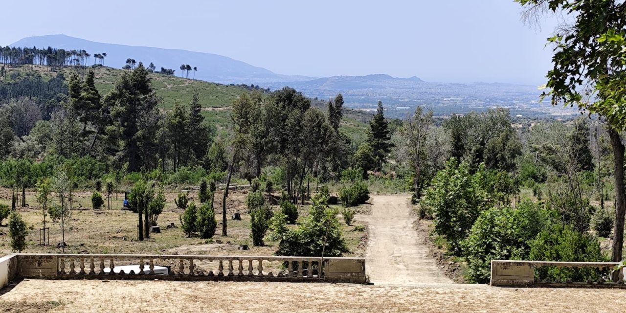 Σε πλήρη εξέλιξη τα έργα στο πρώην βασιλικό κτήμα στο Τατόι