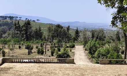 Σε πλήρη εξέλιξη τα έργα στο πρώην βασιλικό κτήμα στο Τατόι