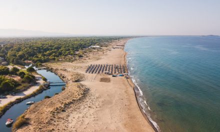 Καλοκαίρι στην Αχαΐα και στην Καλογριά: Ανάμεσα σε αμμόλοφους και πεύκα