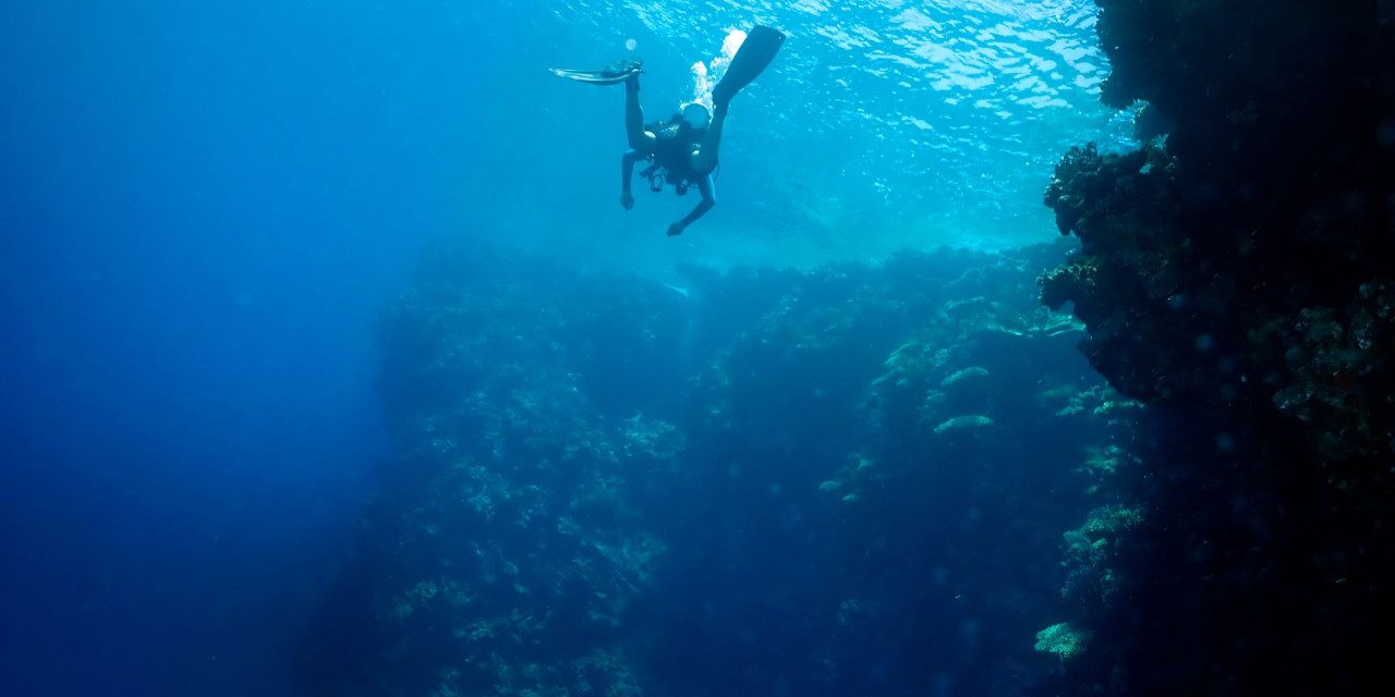 Ηράκλειο: Έτοιμο να υποδεχθεί τους αυτοδύτες τη νέα σεζόν, το Καταδυτικό Πάρκο στη Σταλίδα