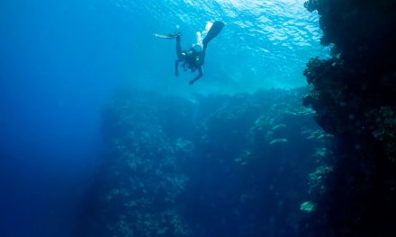 Ηράκλειο: Έτοιμο να υποδεχθεί τους αυτοδύτες τη νέα σεζόν, το Καταδυτικό Πάρκο στη Σταλίδα