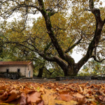 Φθινοπωρινή απόδραση στην Ορεινή Αρκαδία