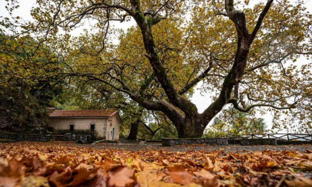 Φθινοπωρινή απόδραση στην Ορεινή Αρκαδία