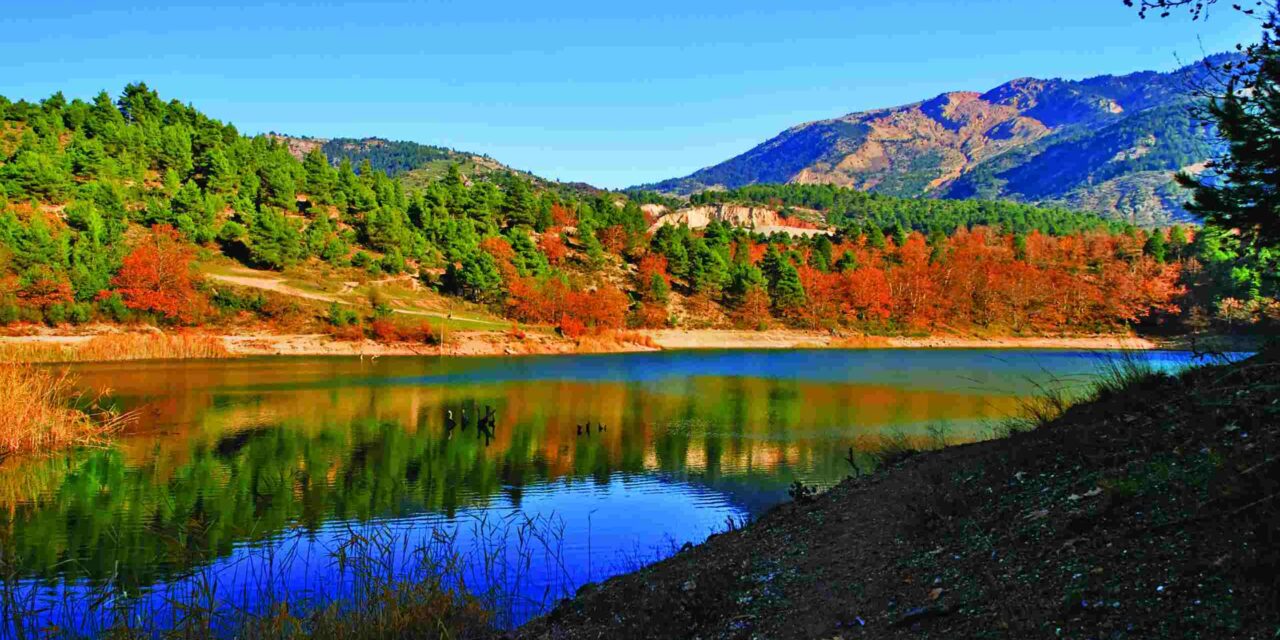 Χριστούγεννα στην Ορεινή Αχαΐα: Από τη Ζαρούχλα στην Πάτρα, ένα γιορτινό ταξίδι