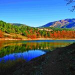 Χριστούγεννα στην Ορεινή Αχαΐα: Από τη Ζαρούχλα στην Πάτρα, ένα γιορτινό ταξίδι