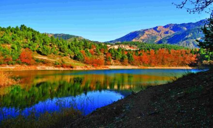 Χριστούγεννα στην Ορεινή Αχαΐα: Από τη Ζαρούχλα στην Πάτρα, ένα γιορτινό ταξίδι