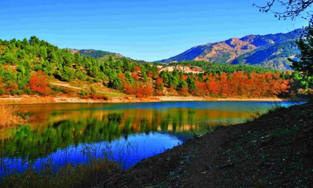 Χριστούγεννα στην Ορεινή Αχαΐα: Από τη Ζαρούχλα στην Πάτρα, ένα γιορτινό ταξίδι