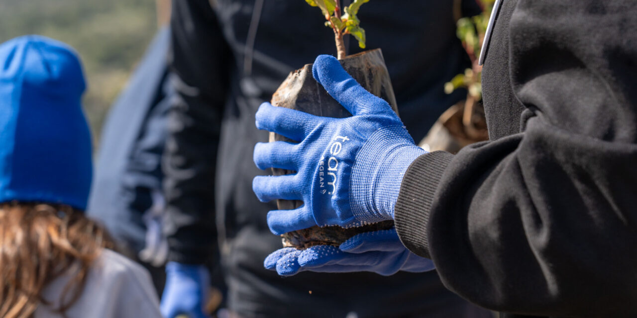 “Team AEGEAN”: Εθελοντές-εργαζόμενοι της AEGEAN γιόρτασαν την αγάπη… διαφορετικά, με δενδροφύτευση στον Υμηττό
