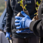 “Team AEGEAN”: Εθελοντές-εργαζόμενοι της AEGEAN γιόρτασαν την αγάπη… διαφορετικά, με δενδροφύτευση στον Υμηττό