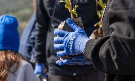 “Team AEGEAN”: Εθελοντές-εργαζόμενοι της AEGEAN γιόρτασαν την αγάπη… διαφορετικά, με δενδροφύτευση στον Υμηττό
