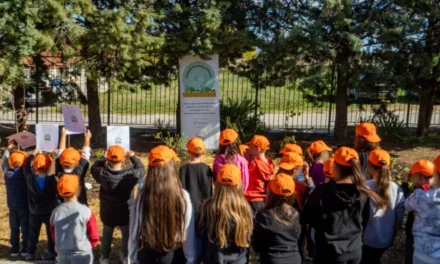 Carbon Farming Schools 2025: ΔΕΗ και Open Farm προωθούν τη βιώσιμη γεωργία στους μαθητές