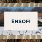 ĒNSOFI Α.Ε.: Το νέο βήμα της ΤΕΜΕΣ σε Costa Navarino και The Ilissian