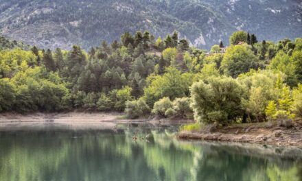 Χειμωνιάτικη εξόρμηση στη Λίμνη Τσιβλού: Ένα ήσυχο καταφύγιο μέσα στα έλατα