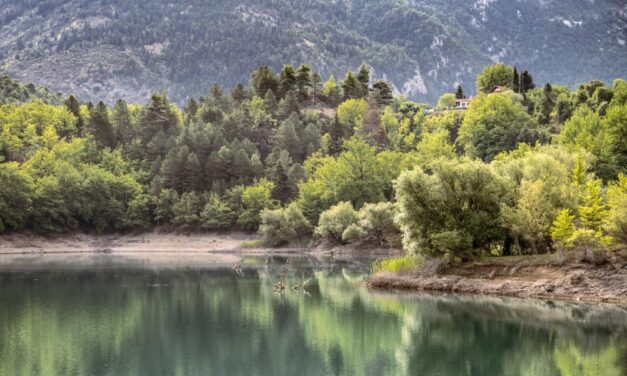 Χειμωνιάτικη εξόρμηση στη Λίμνη Τσιβλού: Ένα ήσυχο καταφύγιο μέσα στα έλατα