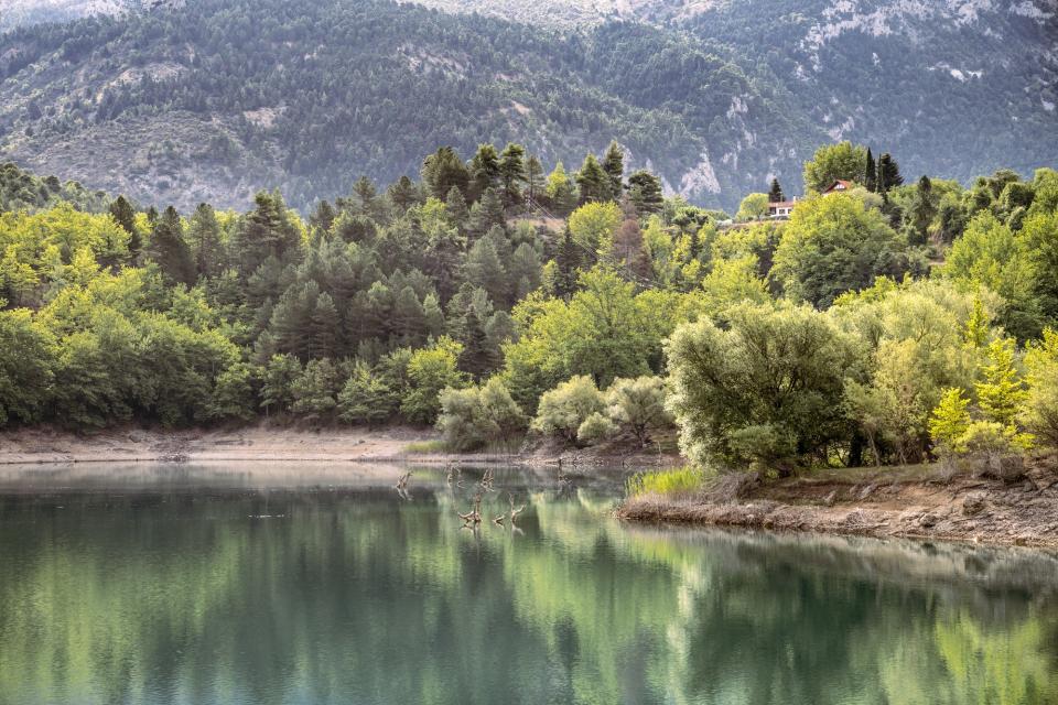 Χειμωνιάτικη εξόρμηση στη Λίμνη Τσιβλού: Ένα ήσυχο καταφύγιο μέσα στα έλατα