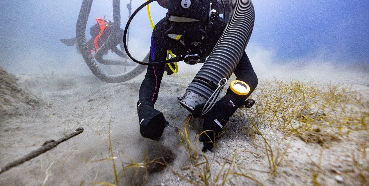 Κύθηρα: Νέα σημαντικά ευρήματα από την υποβρύχια ανασκαφή στο ιστορικό ναυάγιο «ΜΕΝΤΩΡ»