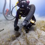 Κύθηρα: Νέα σημαντικά ευρήματα από την υποβρύχια ανασκαφή στο ιστορικό ναυάγιο «ΜΕΝΤΩΡ»