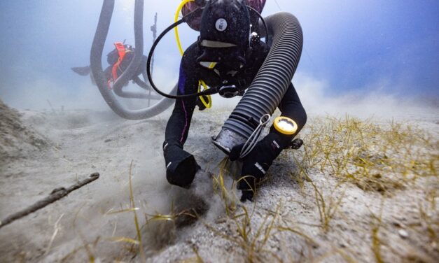 Κύθηρα: Νέα σημαντικά ευρήματα από την υποβρύχια ανασκαφή στο ιστορικό ναυάγιο «ΜΕΝΤΩΡ»