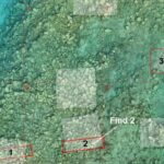 Ενάλια αρχαιολογική έρευνα στην Ασίνη