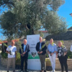 Η TUI συμβάλλει στην αναδάσωση της Ρόδου με 3.060 νέα δέντρα