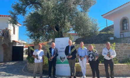 Η TUI συμβάλλει στην αναδάσωση της Ρόδου με 3.060 νέα δέντρα